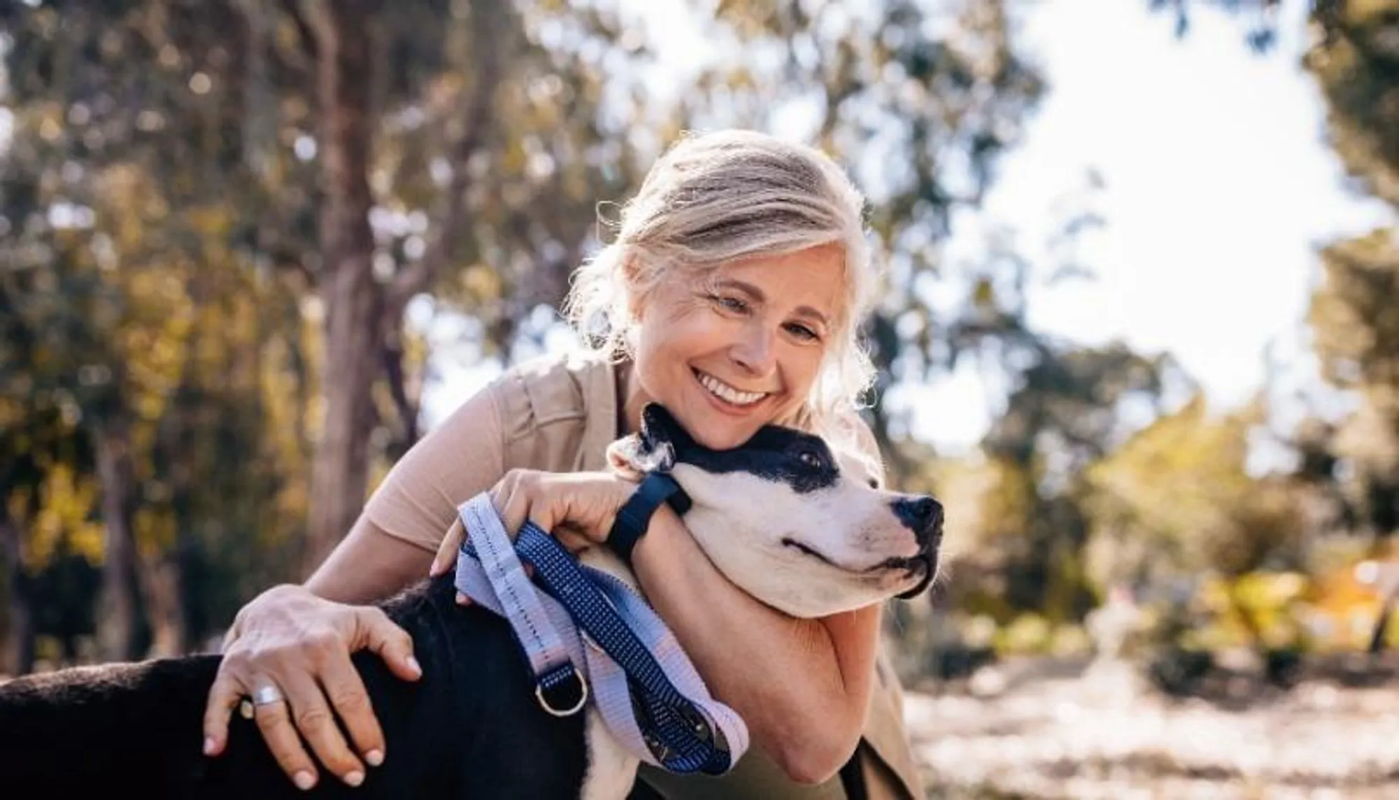 Property Slideshow image 13 of 16 | 1563 cascade way, Lincoln, CA, 95648