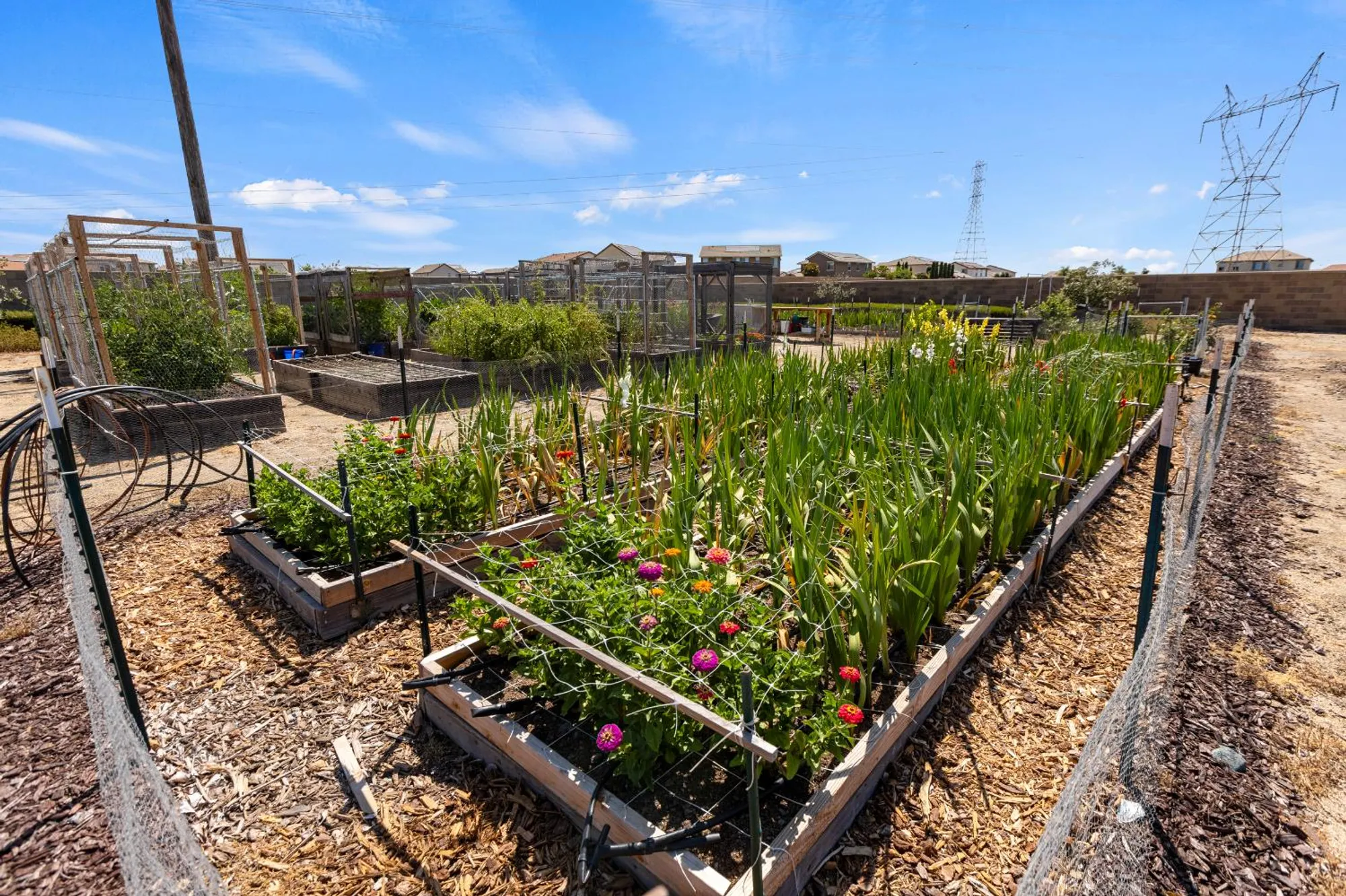 Property Slideshow image 64 of 66 | 9236 summer holly way, Sacramento, CA, 95829