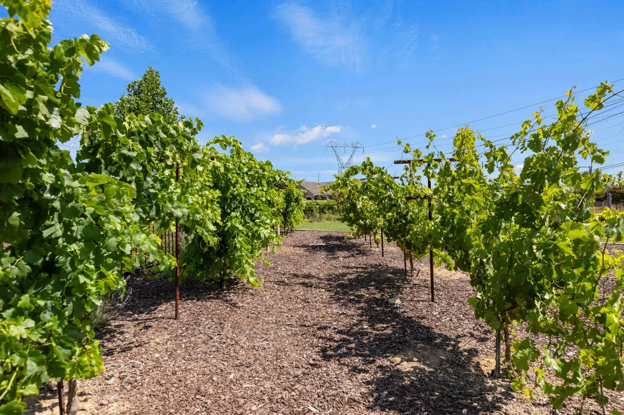 Property Slideshow image 63 of 66 | 9236 summer holly way, Sacramento, CA, 95829