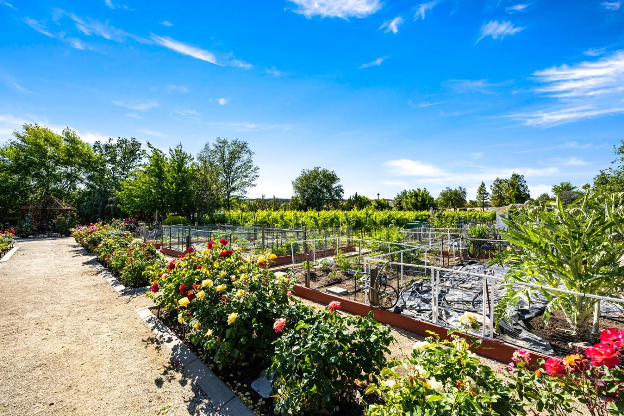 Property Slideshow image 51 of 54 | 4663 monte mar dr, El Dorado Hills, CA, 95762