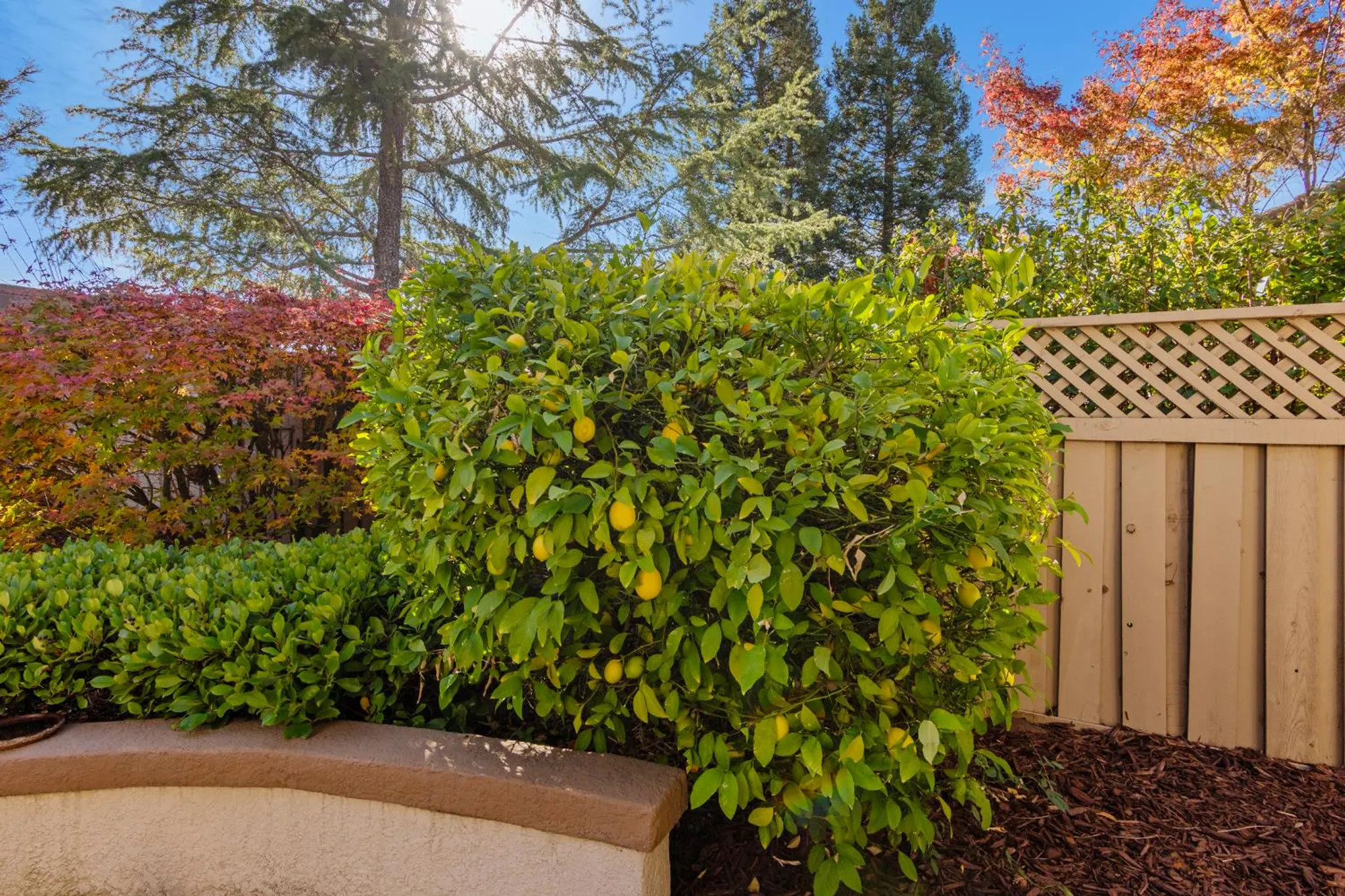 Property Slideshow image 37 of 44 | 2729 woodacre ln, Lincoln, CA, 95648