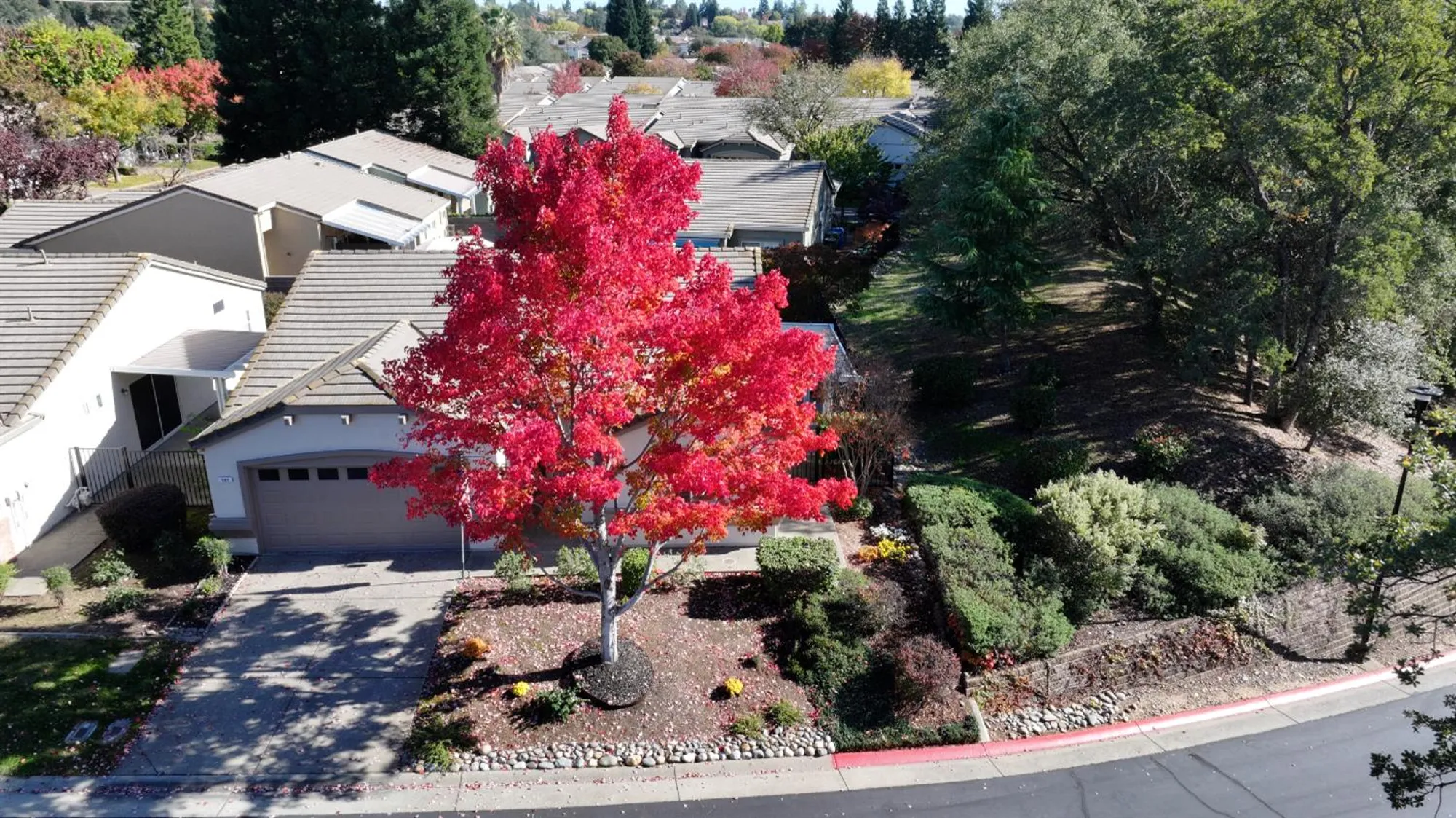 Property Slideshow image 9 of 35 | 503 diamond glen cir, Folsom, CA, 95630