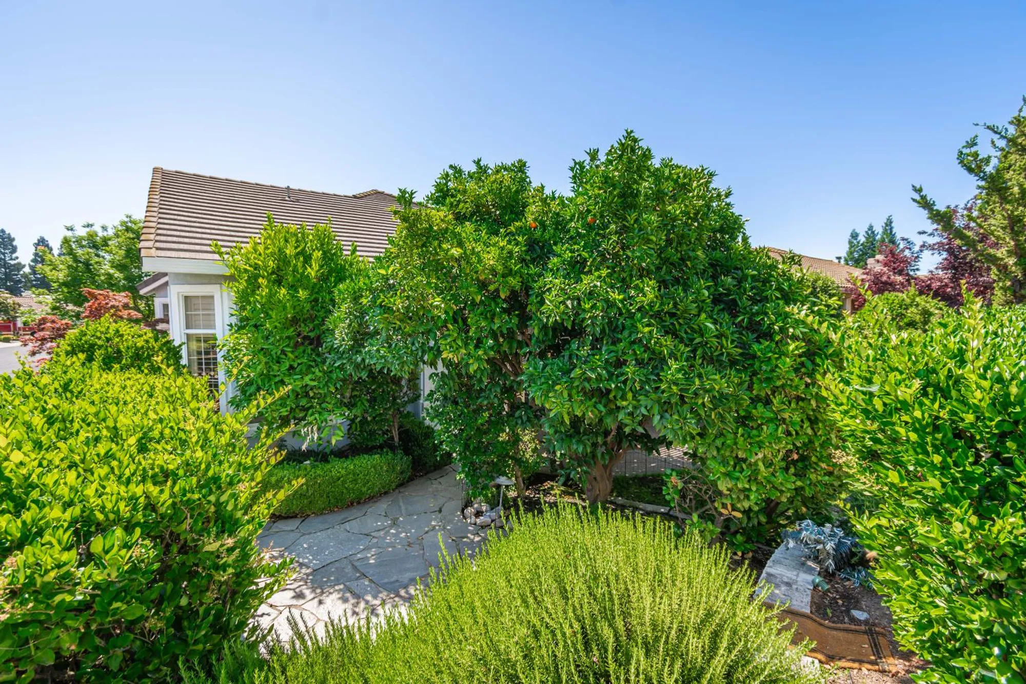 Property Slideshow image 68 of 69 | 300 roundhill ct, Roseville, CA, 95747