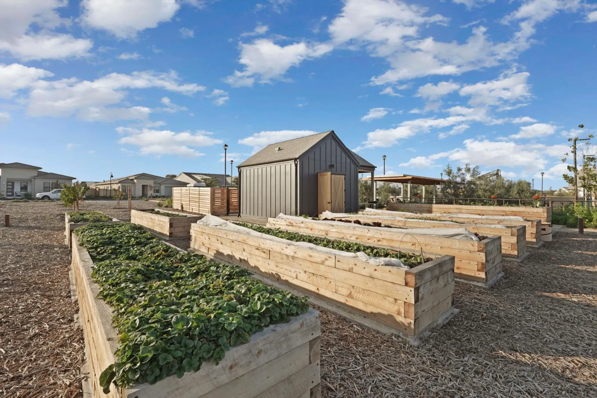 Property Slideshow image 52 of 53 | 1839 snowflower pl, Tracy, CA, 95377