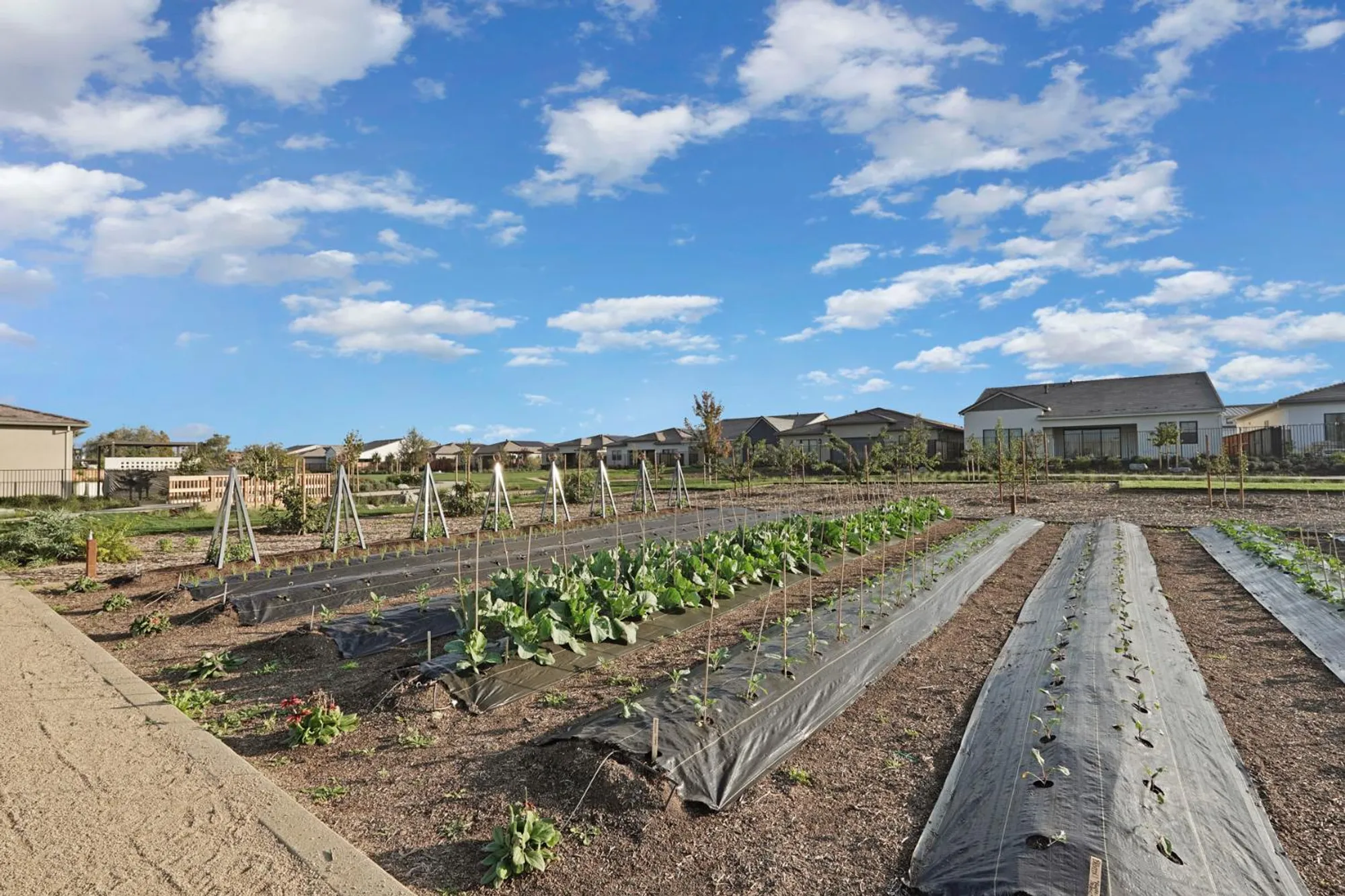 Property Slideshow image 53 of 53 | 1839 snowflower pl, Tracy, CA, 95377