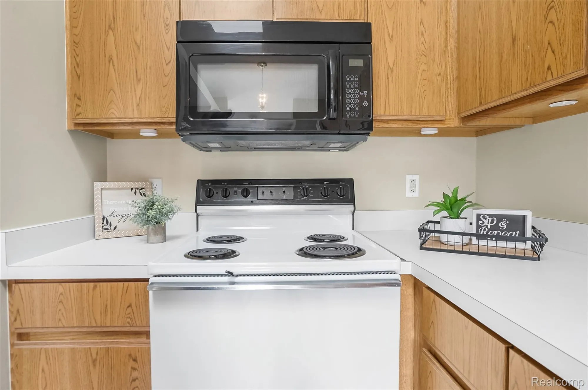 Property Slideshow image 14 of 42 | 62512 raleigh ct unit 4, South Lyon, MI, 48178