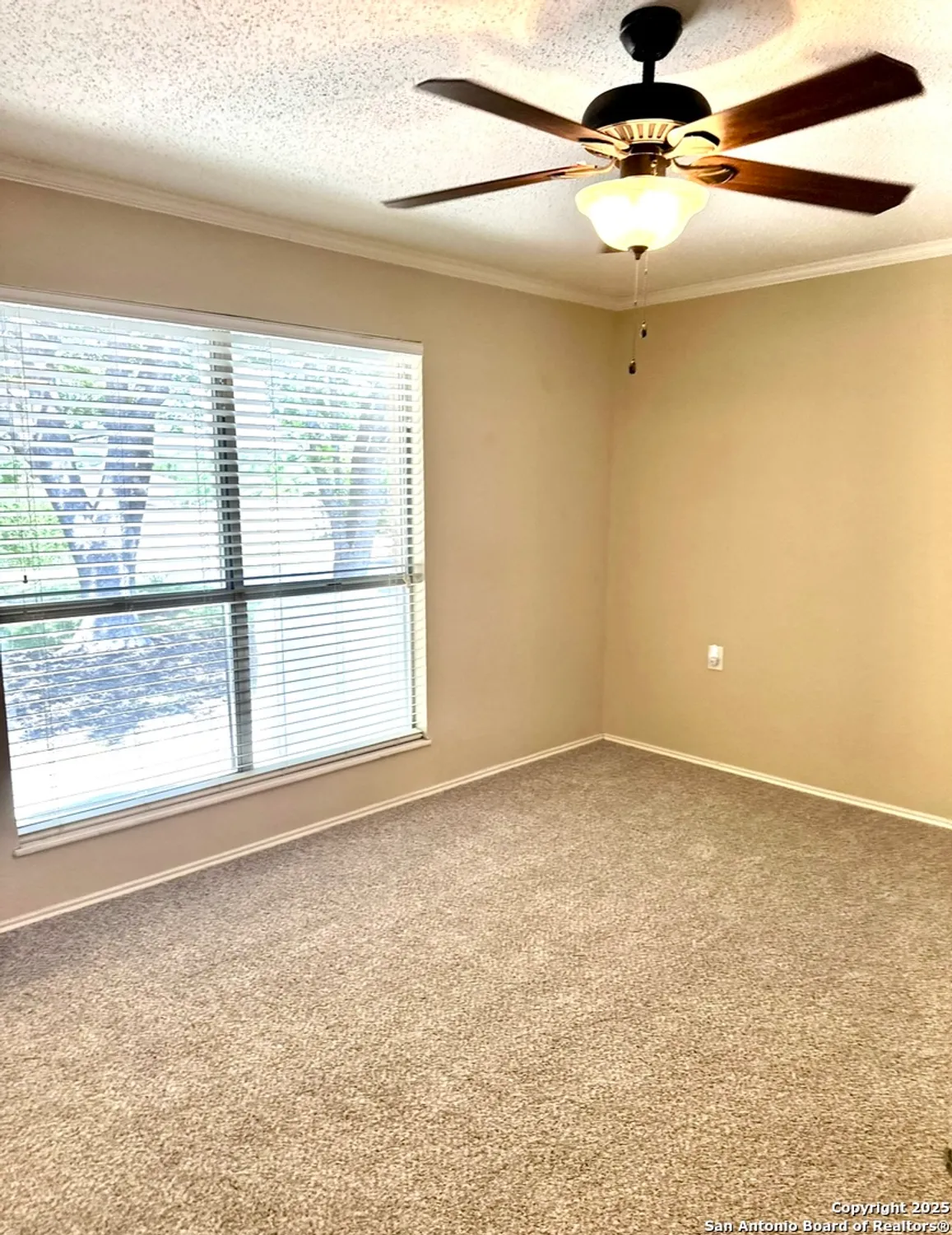 Property Slideshow image 32 of 53 | 4000 cypress ct, Schertz, TX, 78108