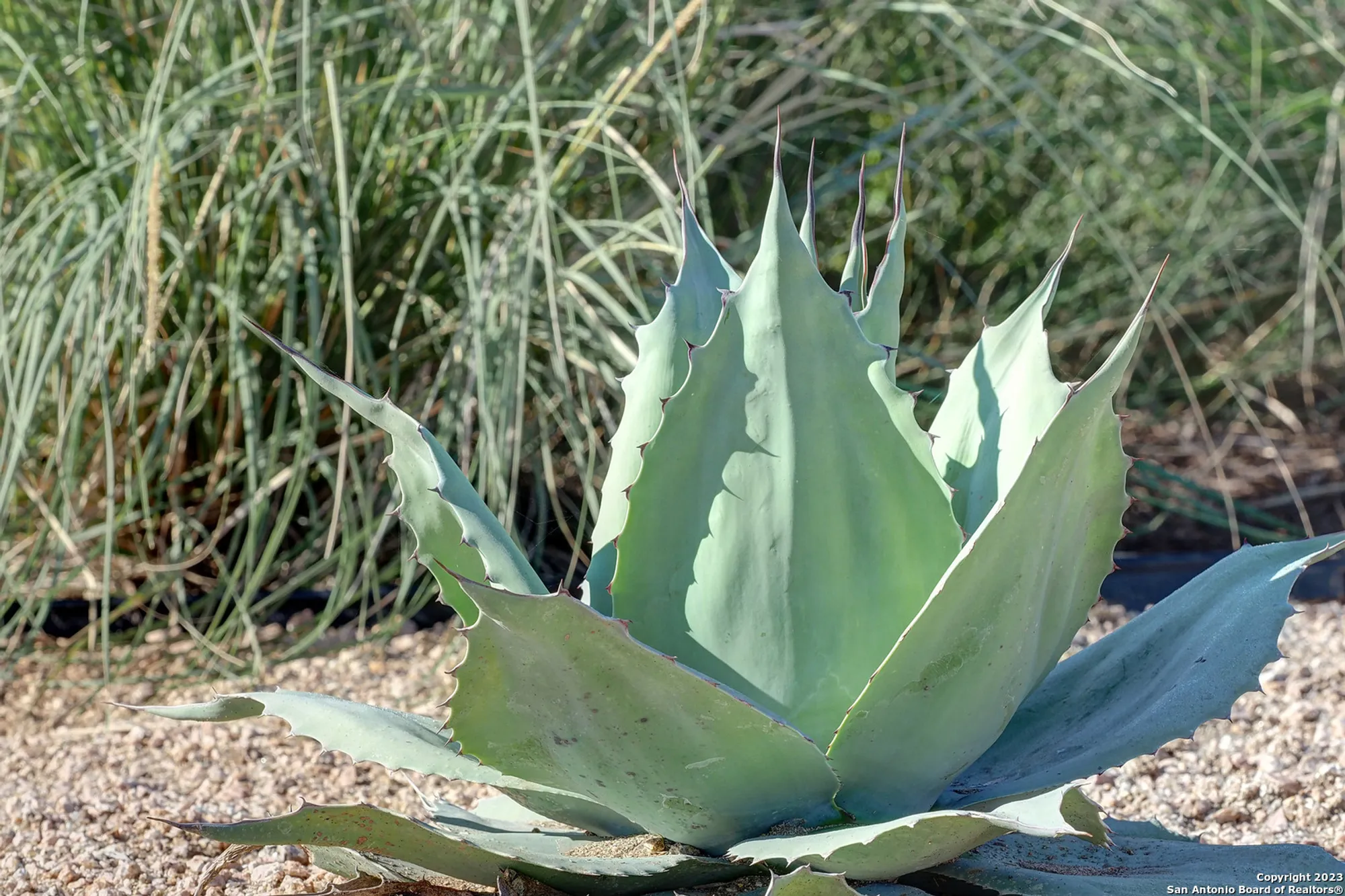 Property Slideshow image 8 of 18 | 375 borchers blvd, New Braunfels, TX, 78132