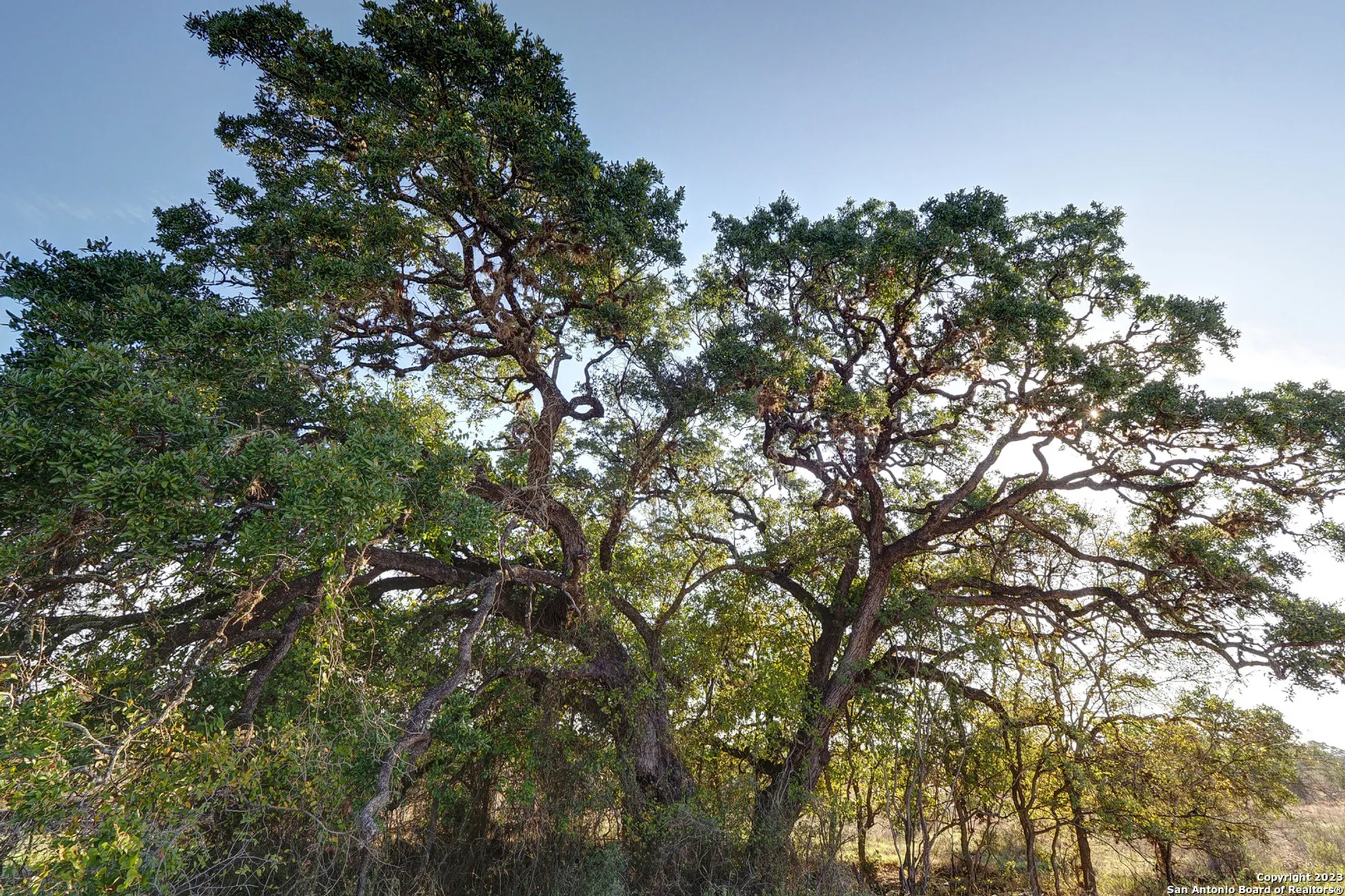 Property Slideshow image 12 of 18 | 375 borchers blvd, New Braunfels, TX, 78132