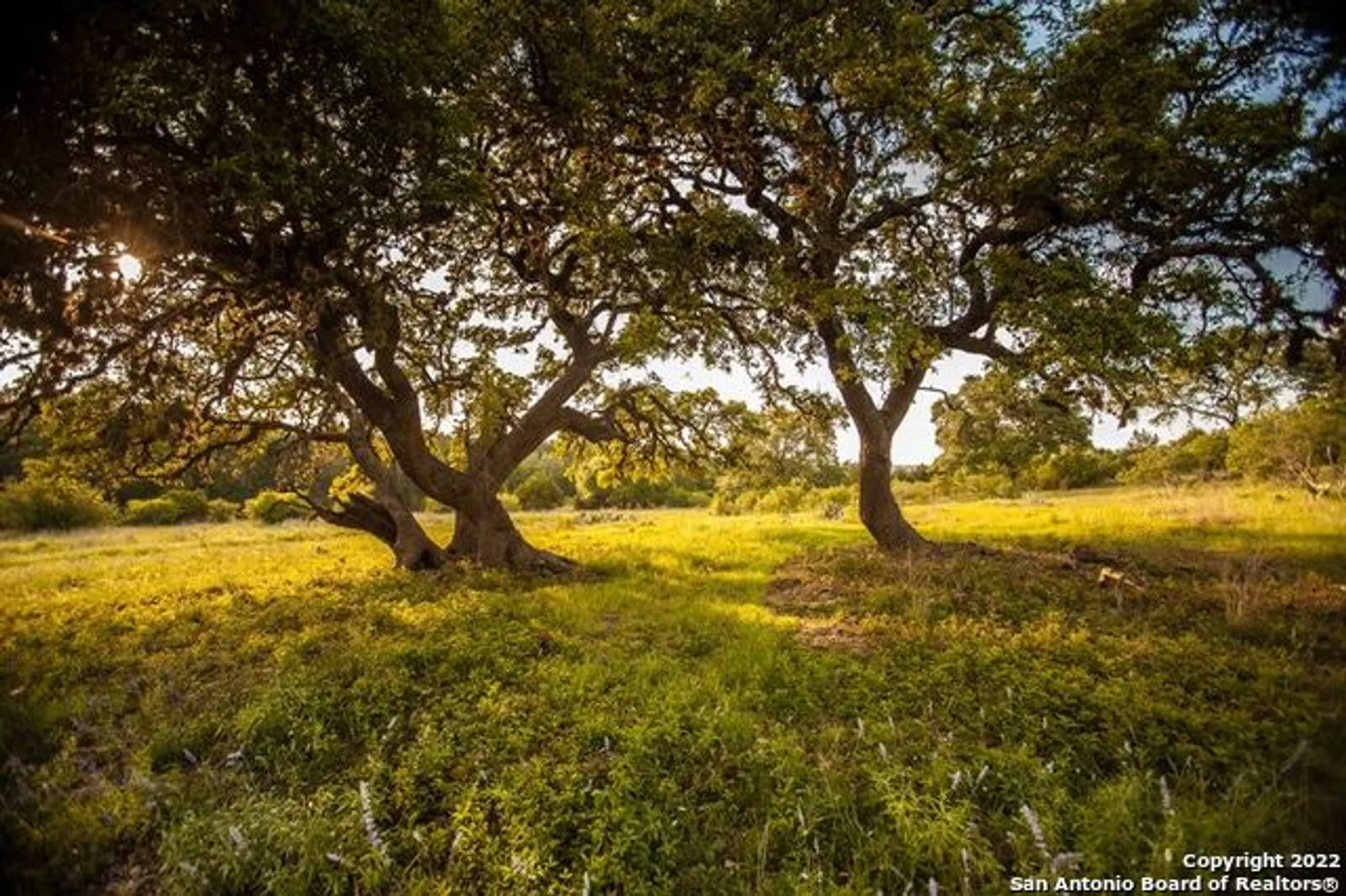Property Slideshow image 36 of 41 | 584 tobacco pass, New Braunfels, TX, 78132