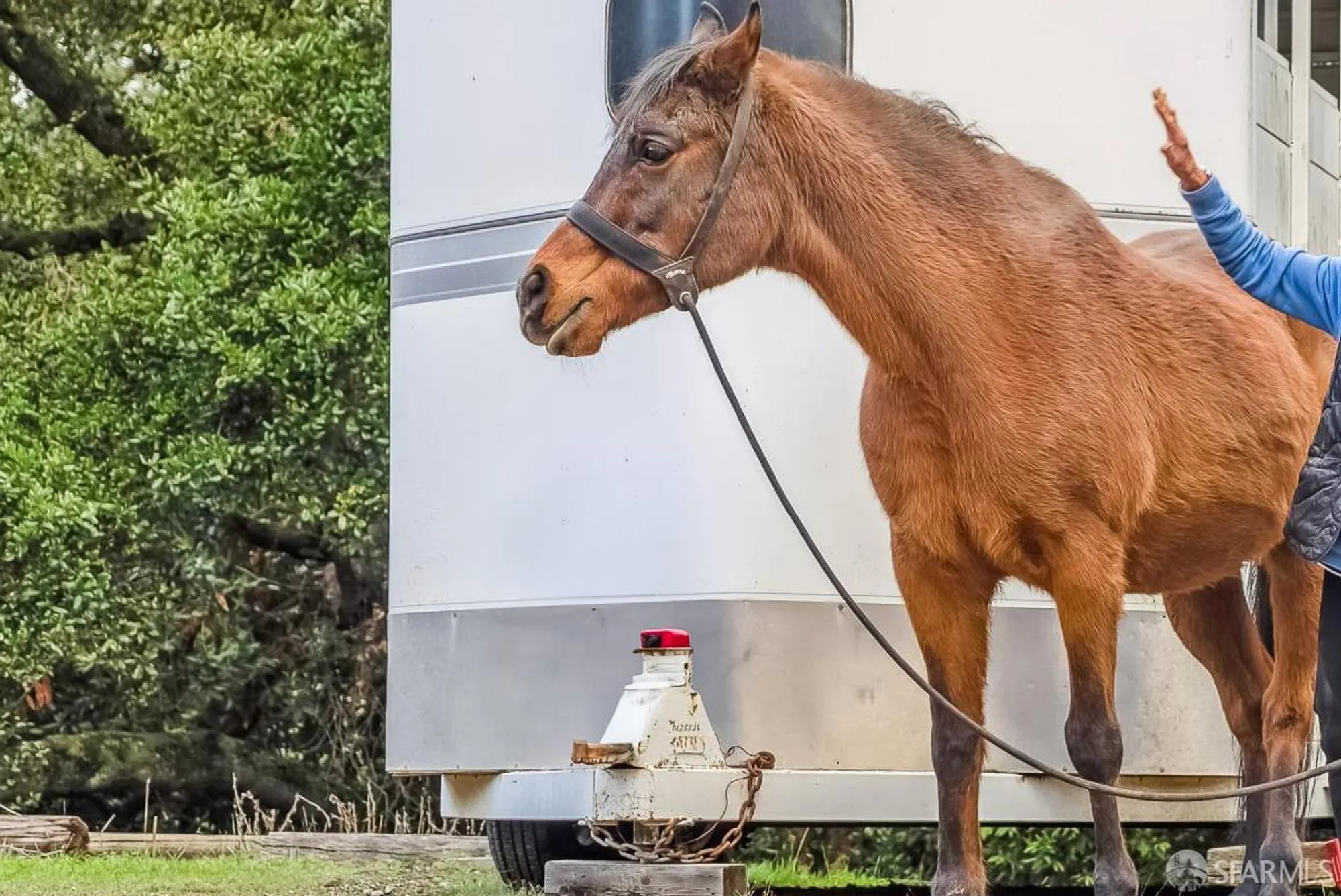 Property Slideshow image 43 of 56 | 6135 montgomery ct, San Jose, CA, 95135