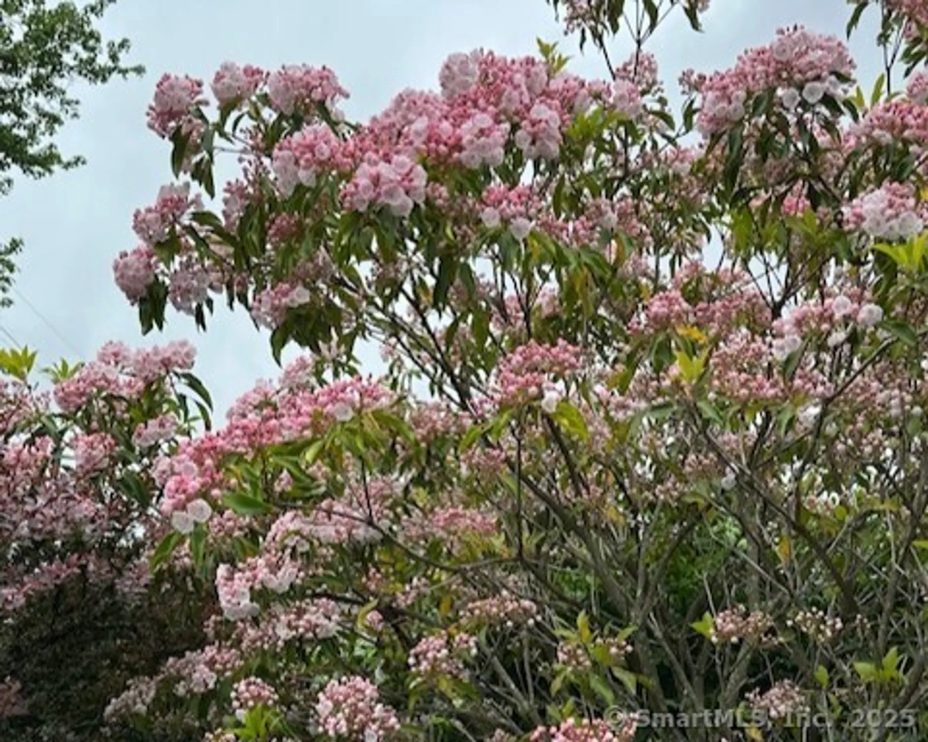 Property Slideshow image 20 of 21 | 859 heritage vlg b, Southbury, CT, 06488