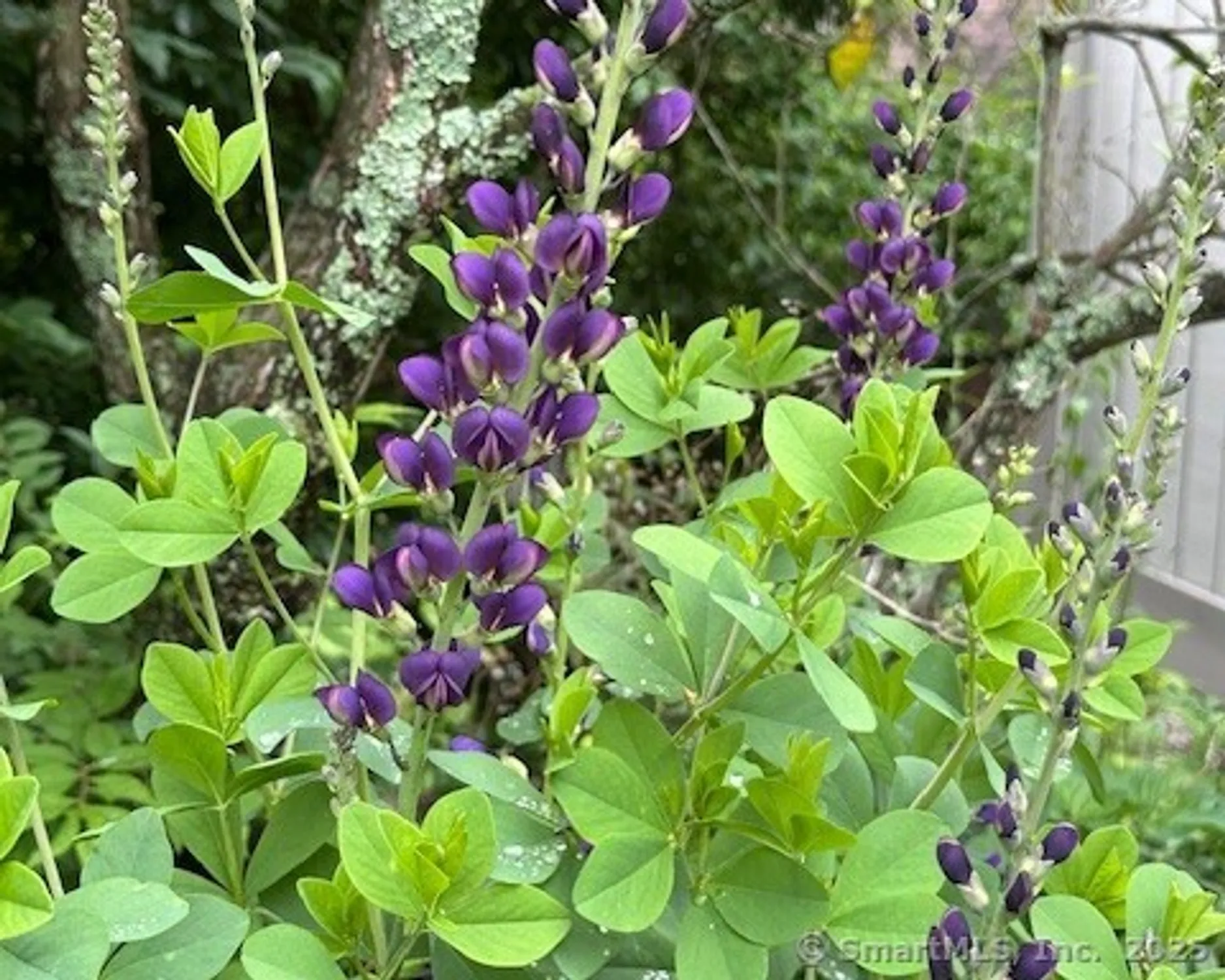 Property Slideshow image 19 of 21 | 859 heritage vlg b, Southbury, CT, 06488