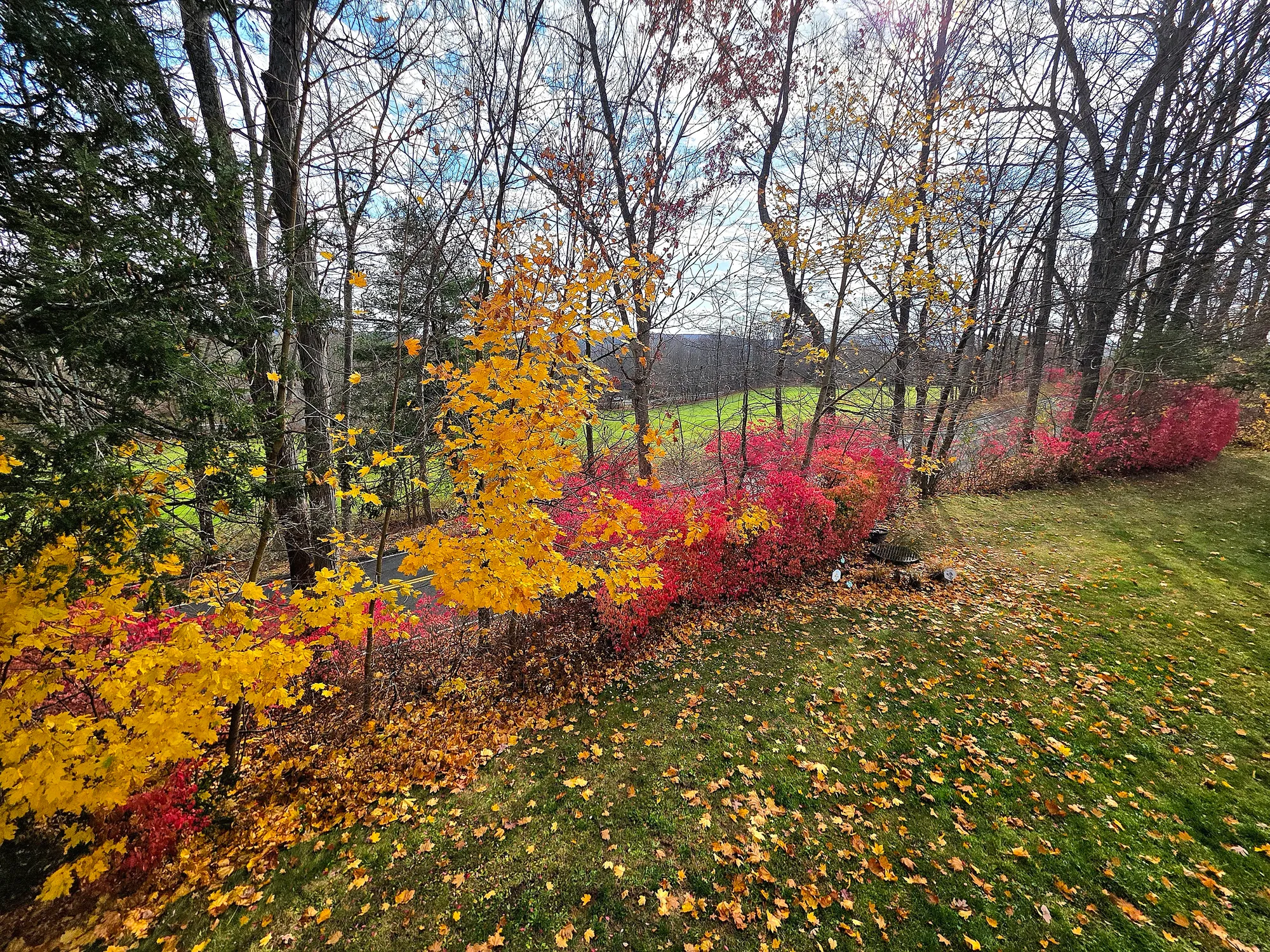 Property Slideshow image 10 of 39 | 39 heritage vlg c, Southbury, CT, 06488