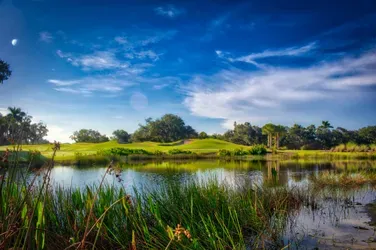 The Best Golf Cart Communities in Florida