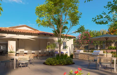 Shaded Patio