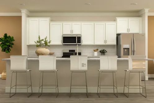 Kitchen Rendering