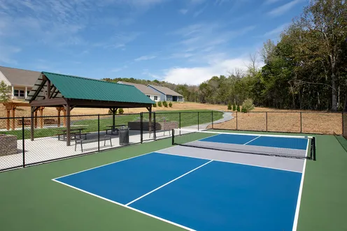 Pickleball Court