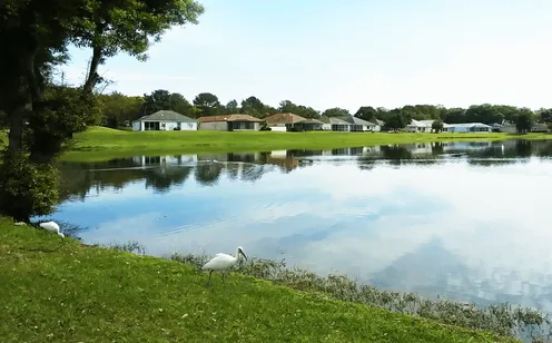 Scenic Ponds
