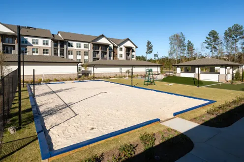 Volleyball Court