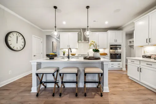 Model Kitchen Area