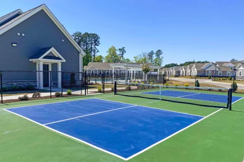 Pickleball Court
