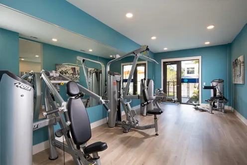 Fitness