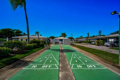 Shuffleboard