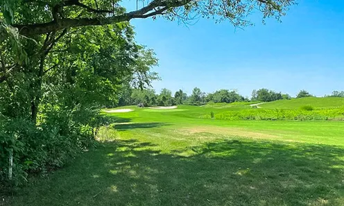 Parks & Natural Spaces