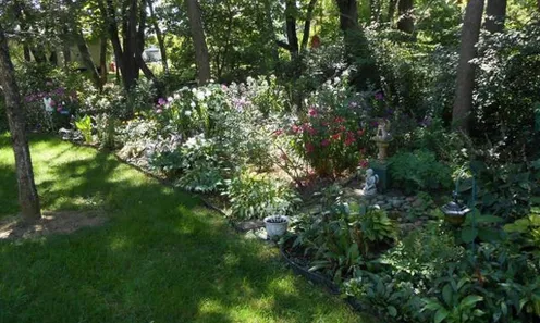 Scenic Walking Paths