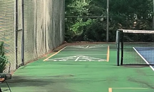 Shuffleboard Court