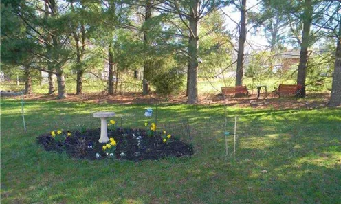 Parks & Natural Space