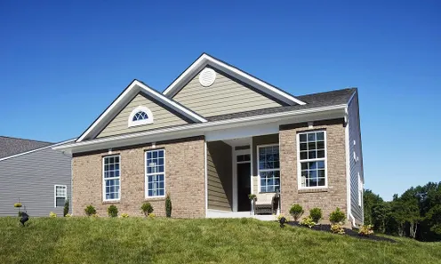 Shenandoah Model
