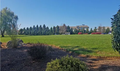 Lush Landscaping