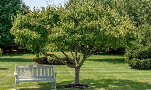 Parks & Natural Space