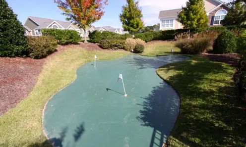 Golf Putting Area