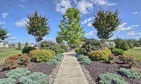 Scenic Walking Trail