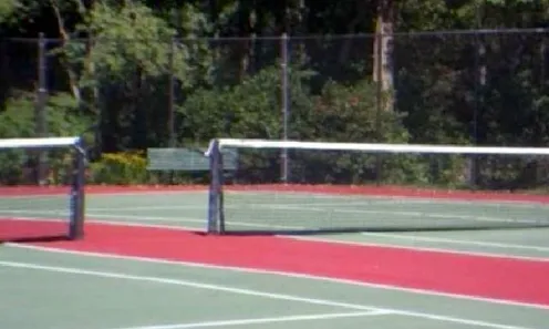 2 Tennis Courts