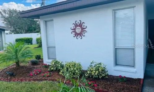 Village In The Pines