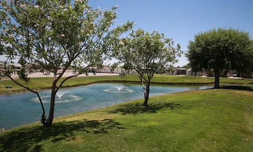 Scenic Pond