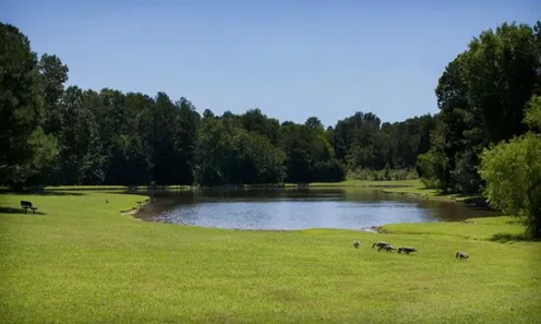 Scenic Ponds
