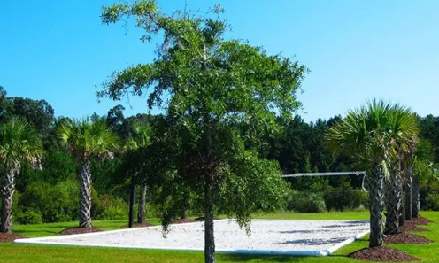Sand Volleyball Court
