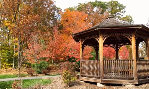 The Gazebo Garden
