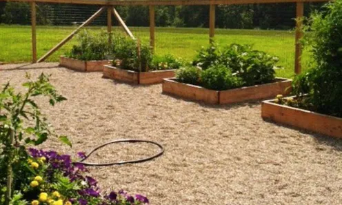 Community Gardens
