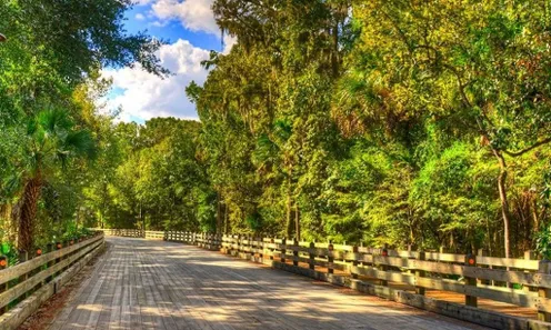 Scenic Walking Trails