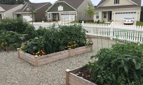 Garden Plots