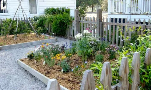 Community Garden