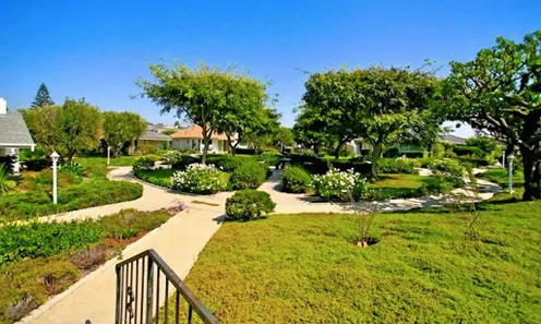 Lush Landscaping