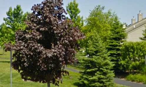 Walking Trail with Mature Landscaping