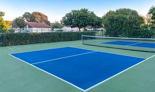 Pickleball Court